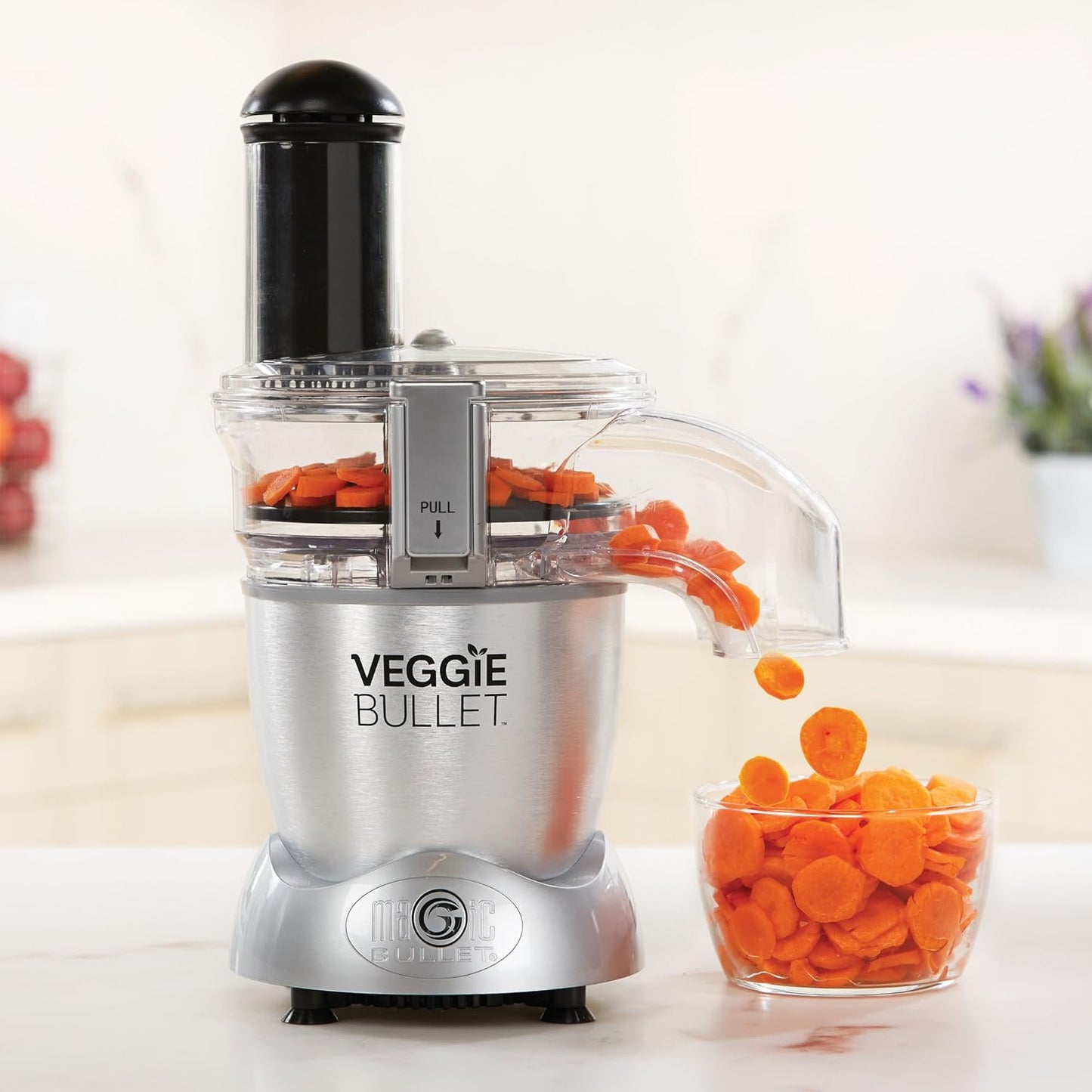 NutriBullet Veggie Bullet